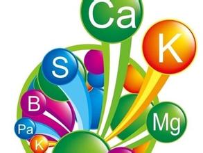 有機(jī)鉍催化劑對(duì)脂肪族聚氨酯樹(shù)脂儲(chǔ)存穩(wěn)定性的影響